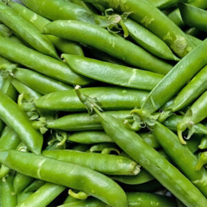 Pea